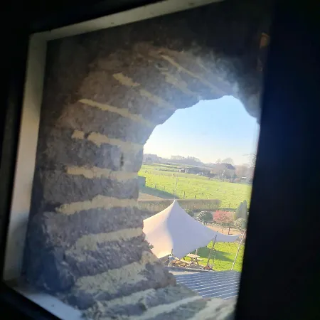 Vet - ベッド・アンド・ブレックファスト