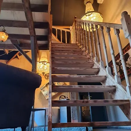 Bed & Breakfast Vet -