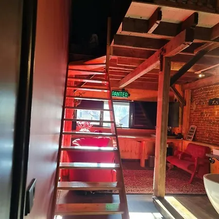 Bed & Breakfast Vet -