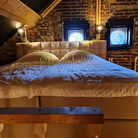 Bed & Breakfast Vet -