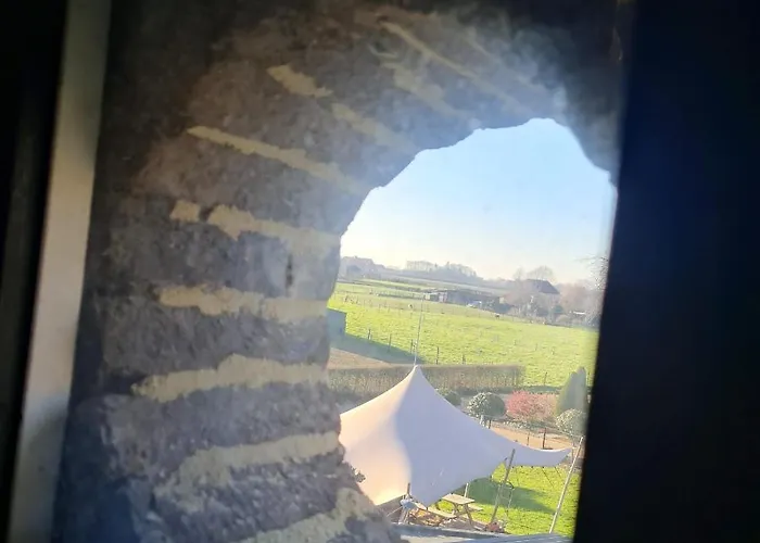 Vet - Bed & Breakfast