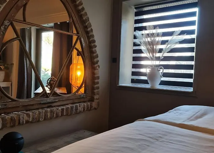 Bed & Breakfast Vet -