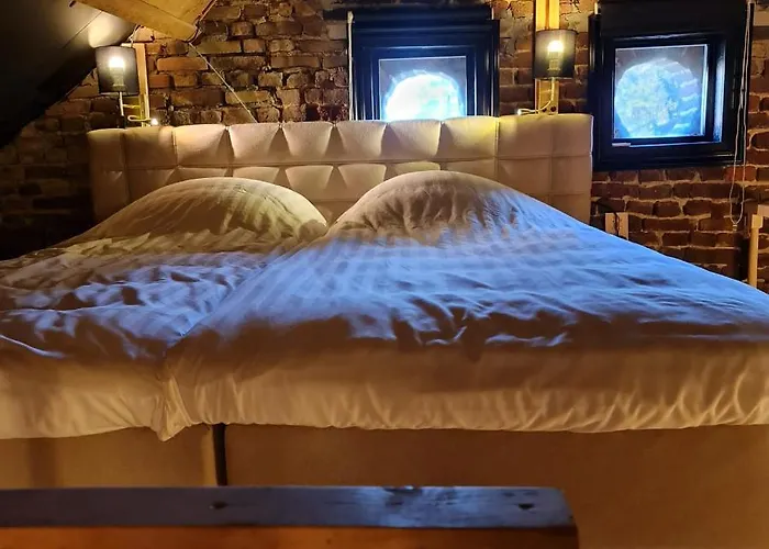 Bed & Breakfast Vet -