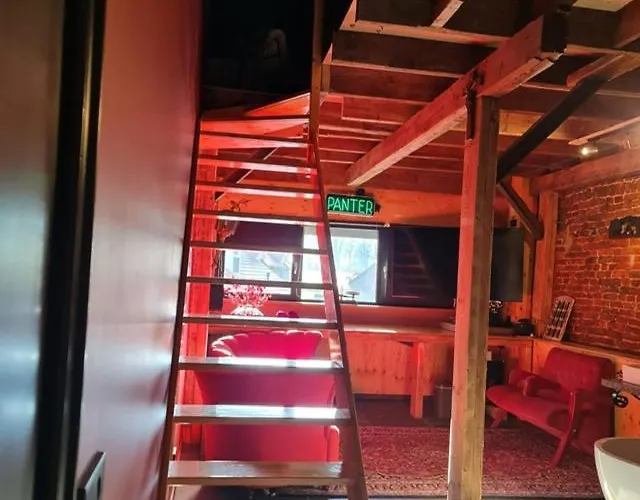 Bed & Breakfast Vet -